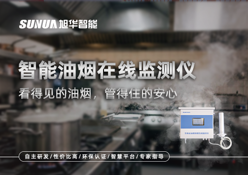 智能油烟在线监测仪：看得见的油烟，管得住的安心